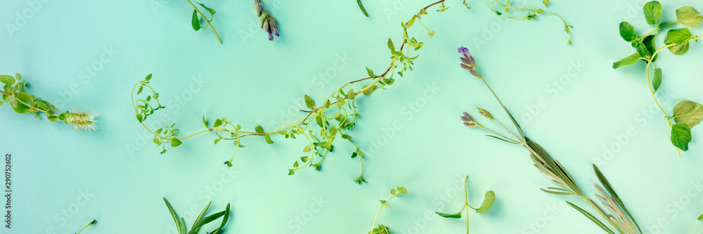 A panorama of the herbs of Provence. Thyme, oregano, lavender, shot from the top on a blue background in a flat lay pattern, toned image - obrazy, fototapety, plakaty 
