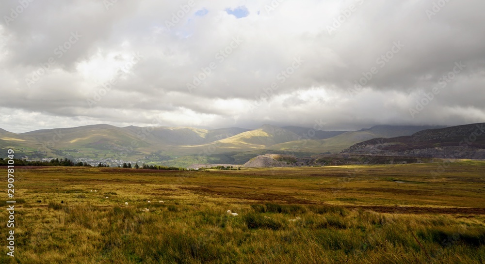 Beautiful Highland Pasture in Wales - obrazy, fototapety, plakaty 