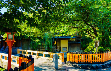 Wall Mural - Landscape of historical city ( named Gion Shirakawa ) in autumn Kyoto Japan ( captured on the public road )