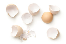 Egg Shells Isolated On White Background