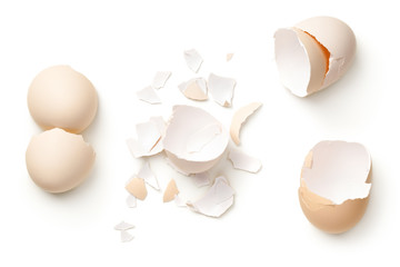 Wall Mural - Egg Shells Isolated On White Background