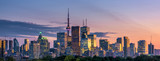 Fototapeta Big Ben - Toronto city view from Riverdale Avenue. Ontario, Canada