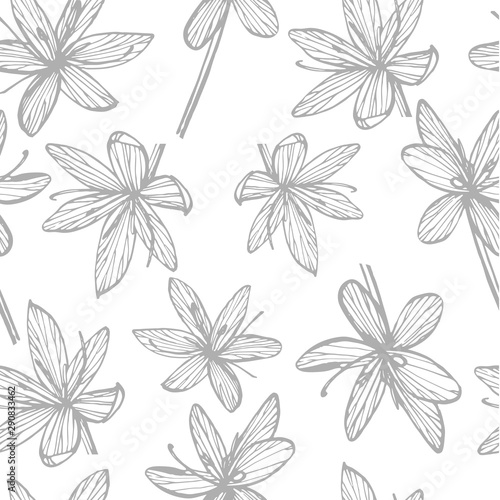 Kafir Lilies flowers. Collection of hand drawn flowers and plants. Botany. Se...