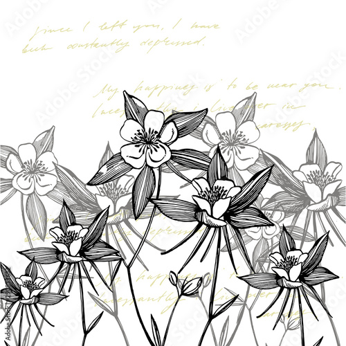 Double Columbine flowers. Collection of hand drawn flowers and plants. Botany...