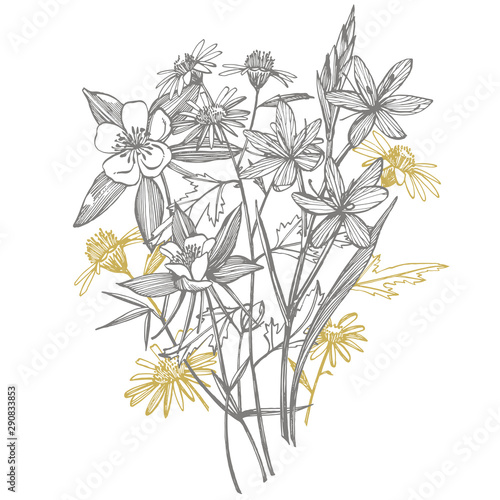 Collection of hand drawn flowers and plants. Botany. Set. Vintage flowers. Bl...