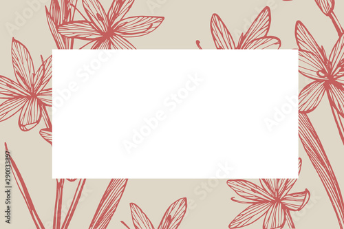 Collection of hand drawn flowers and plants. Botany. Set. Vintage flowers. Bl...