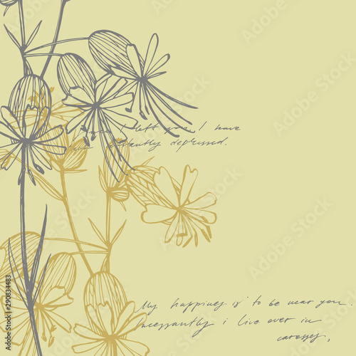 Bladder campion flowers. Set of drawing cornflowers, floral elements, hand dr...