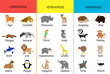 Carnivores, herbivores, omnivores. Animals by category. Educational card for children. Zoology for schoolchildren and preschoolers. Bear, shark, anteater, giraffe, hippo, kiwi, lion, ostrich