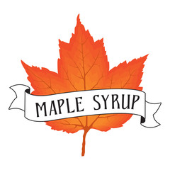 vector illustration of orange maple leaf with maple syrup banner