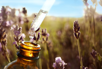 Dropper with lavender essential oil over bottle in blooming field, closeup. Space for text