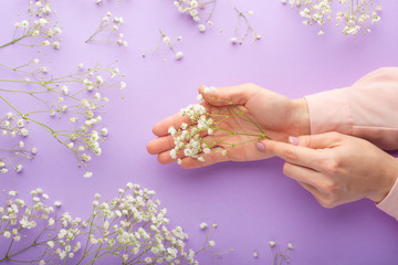 Wall Mural - Flat lay. Tender female hands with white delicate flowers. On a purple background. Art photo, top view, horizontal photo.