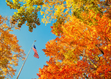 American Flag Waving In The Wind With Beautiful Autumn Foliage Tree Tops Against Blue Sky At A Park In New England 