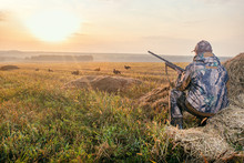 Hunter In Camouflage With A Gun Hunting On Black Grouse. Hunting For Game Birds. Hunters Open Season In Autumn.