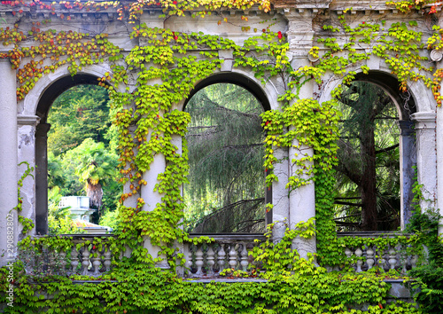 Cuadros en Lienzo Macro photo of an old wall with plants in the castle