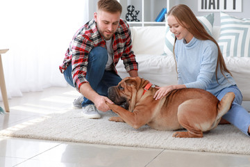 Sticker - Happy couple with cute dog at home