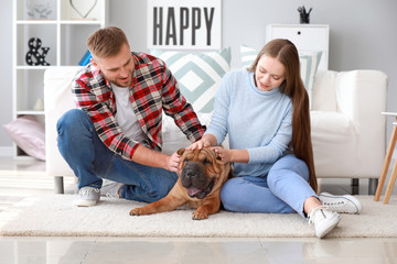 Sticker - Happy couple with cute dog at home