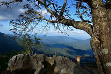 Doi Pha Tang Is One Of The Famous Tourist Attractions In Chiang Rai Province. In The Sub-district Area Wiang Kaen District Chiang Rai Doi Pha Tang Is A Mountain Peak In The Luang Prabang Mountain Rang