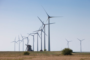 Wall Mural - old dutch windmill and modern wind turbines against blue sky in dutch province of groningen