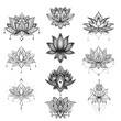 Filigree lotus flower set, vector handdrawn illustration