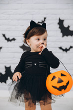 A Little Girl In A Black Cat Costume With A Pumpkin Basket On A Bats Background, Trick Or Treat, Halloween Concept.