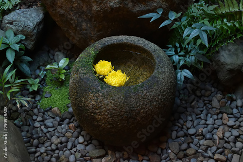 茶室 露地の蹲 京都 Stock Photo Adobe Stock