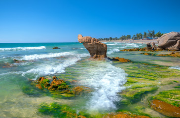 Wall Mural - Rocks and mosses on the beach when waves hit create a vivid beauty