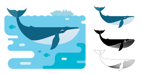 blue whale icons. flat vector illustration of blue whale. decorative cute illustration for children.