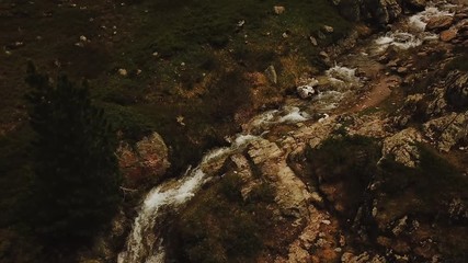 Wall Mural - Cinematic aerial shot of wild mountain stream in France