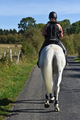 Canvas Print - cheval chevaux equitation cavalier