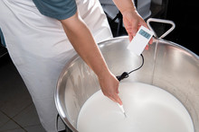 Cheesemaker Measures The Temperature Of The Milk With An Electronic Thermometer