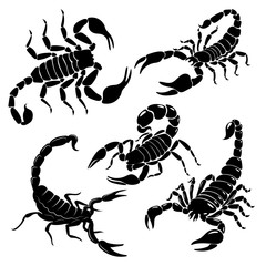 Wall Mural - Scorpion set. A collection of black and white stylized scorpions. Vector illustration of poisonous insects. Tattoo.