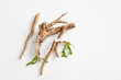 Crude chicory root (Cichorium intybus) with leaves on a white background.