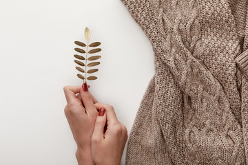 Wall Mural - cropped view of woman holding golden leaf near knitted brown sweater on white background