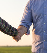 © Budimir Jevtic - Farmers shaking hands in field
