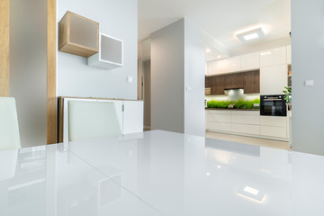 Modern interior design - kitchen