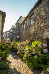 Wall Mural - Rua da Alegria in the historic center of Trancoso, Portugal, with old houses and the street full of flowers.