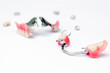 © Vladyslav Senchenko - a set of removable clasp prostheses with supporting metal-ceramic and metal crowns on the upper and lower jaws on white background