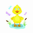 A small duckling in the lake with dragonflies and reeds. Cartoon hero, flat design. Illustration for print on clothes. Children's print.