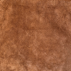 Wall Mural - Smooth seamless texture suede . Brown color. Genuine Leather