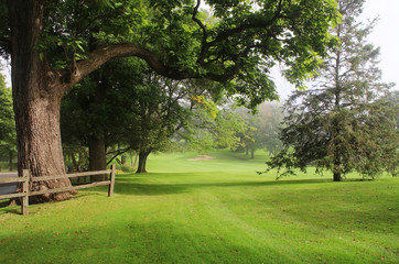 Wall Mural - early autumn foggy morning landscape. scenic view with deep fog over a golf course with wooden fence