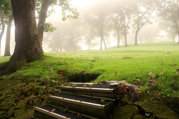 Wall Mural - early autumn foggy morning landscape. scenic view with deep fog over a golf course with wooden stair
