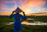Fototapeta  - girl in a traditional Vietnamese hat, stands in rice fields in the rays of sunset light