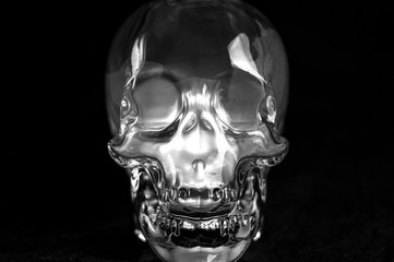 glass skull on black background