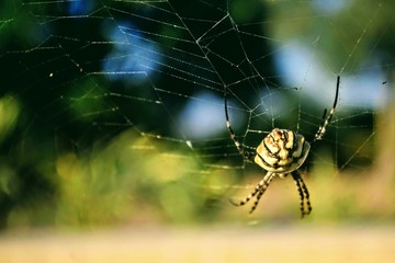 Hanging on