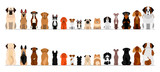 Fototapeta Pokój dzieciecy - small and large dogs border border set, full length, front and back