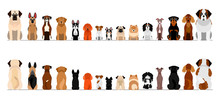 Small And Large Dogs Border Border Set, Full Length, Front And Back