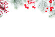 © millaf (Nemchinova) - Christmas border of red holly berries and snowy green fir branch isolated on white background