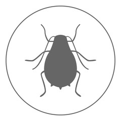 Wall Mural - Greenfly icon. Aphid symbol. Vector.