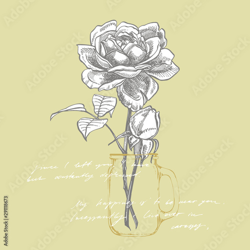 Roses. Hand drawn flower set illustrations. Botanical plant illustration. Han...