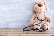 Stuffed Dog Animal Presented As A Pediatrician Holding A Stethoscope With Copy Space